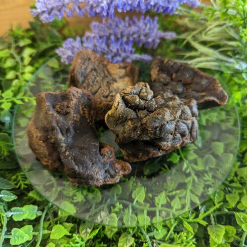 Ox Liver 100g