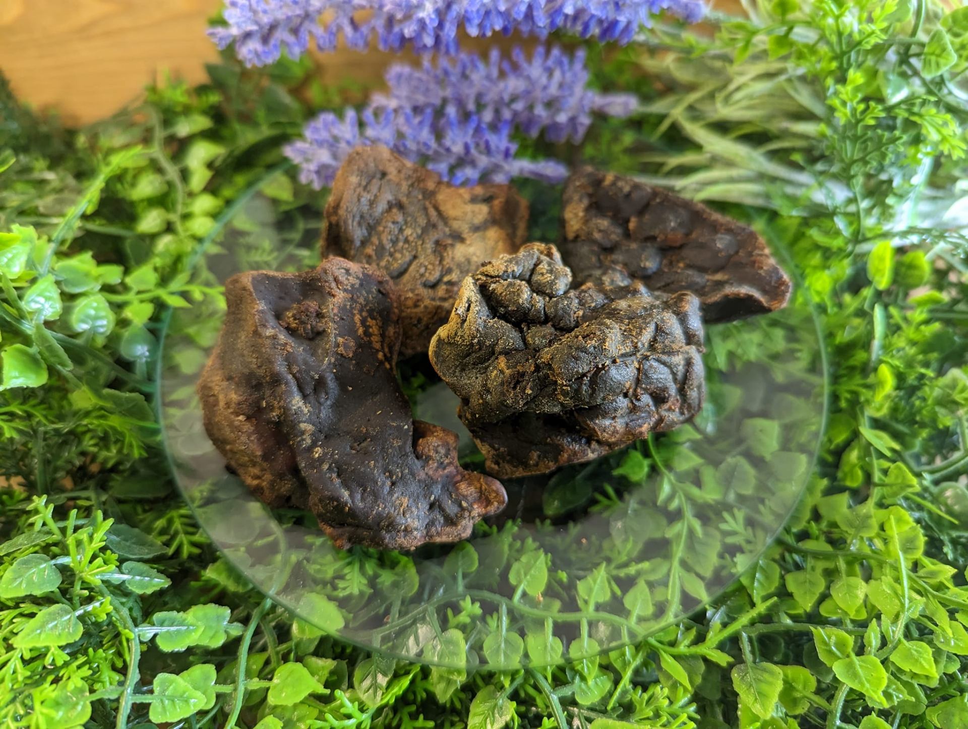 dried liver