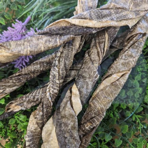 Fish Skin Twists