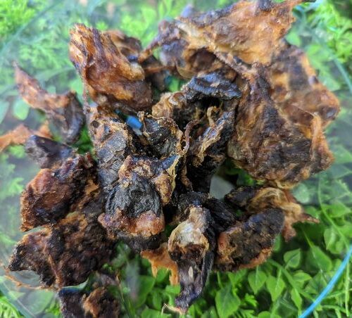 Chicken Hearts 100g