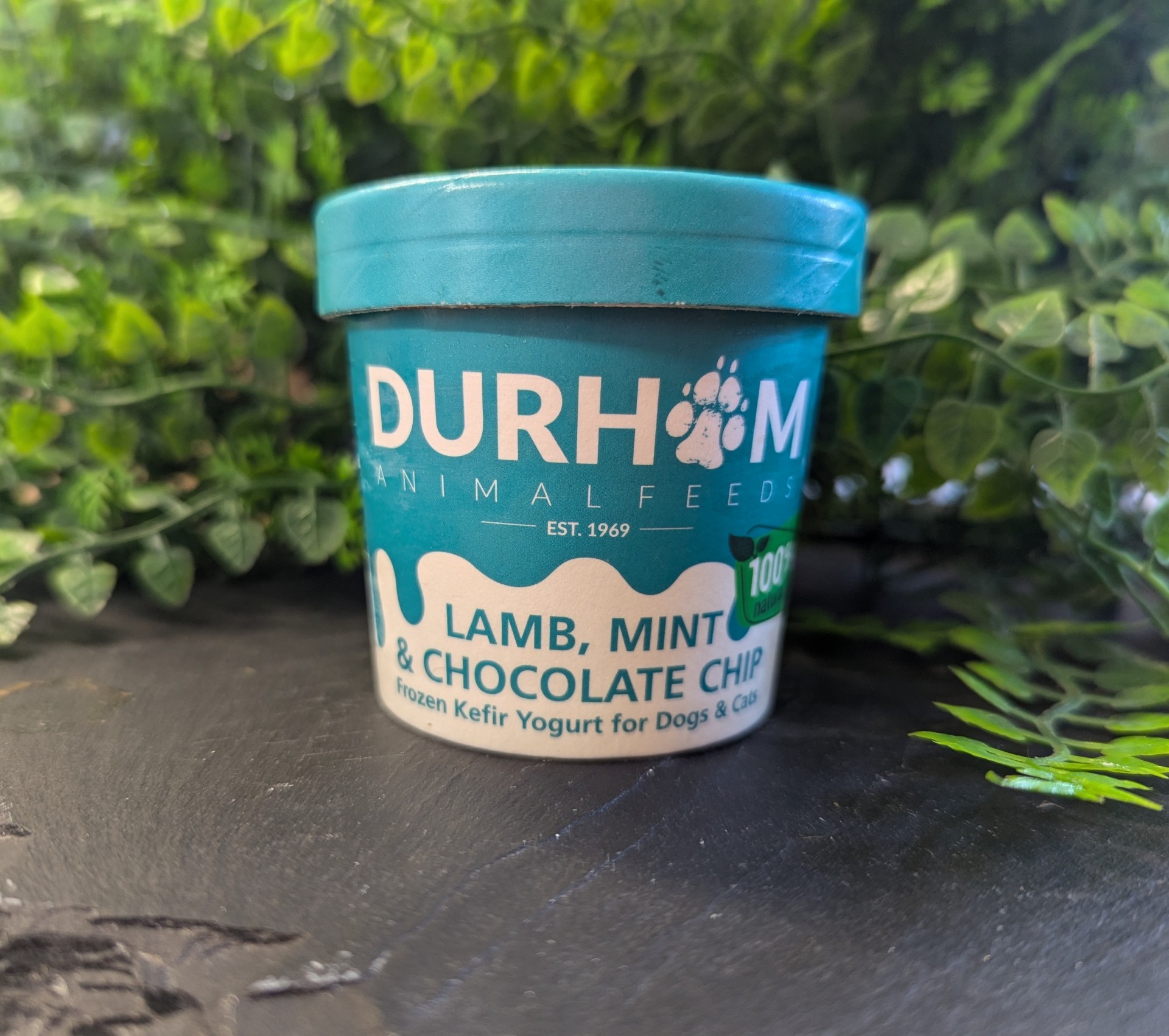 lamb mint choc