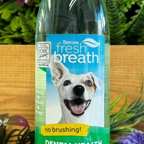 FRESH BREATH DENTAL SOLUTION