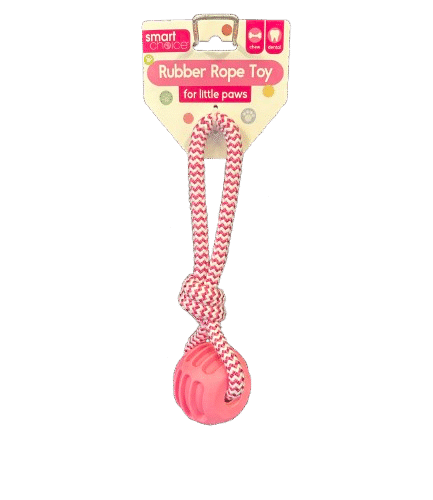 Rubber Rope Toy