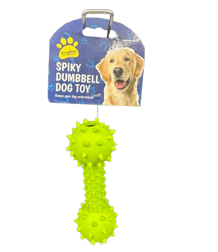 Spiky Dumbbell Toy