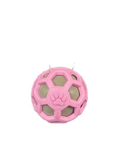 Rubber Squeaky Ball Toy